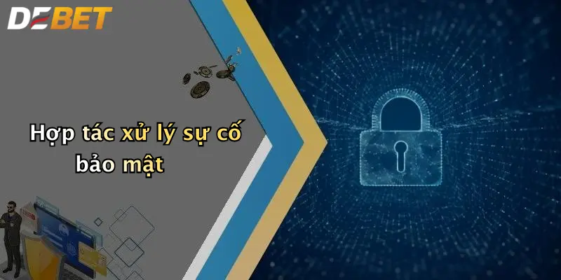 Hợp tác xử lý sự cố bảo mật
